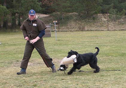 2008