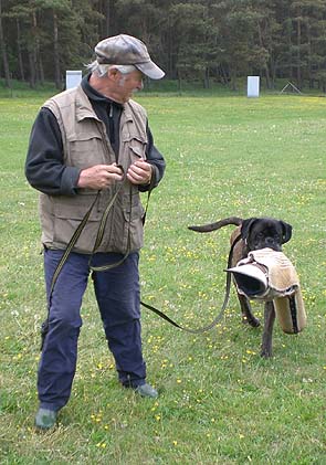 2008